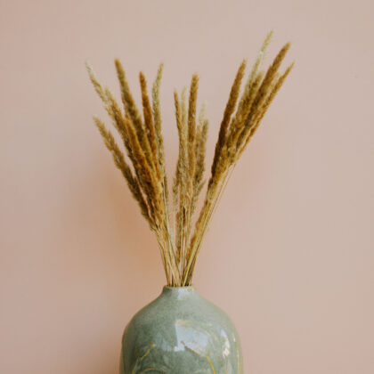 Mini Pampas