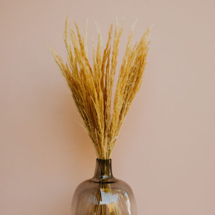 Fluffy Mini Pampas