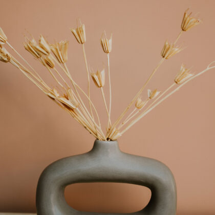 Nigella