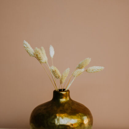 Bleached Phalaris