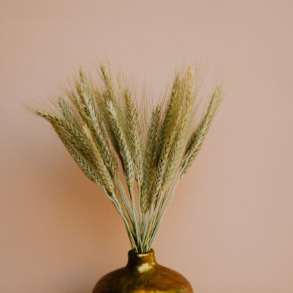 Natural Wheat